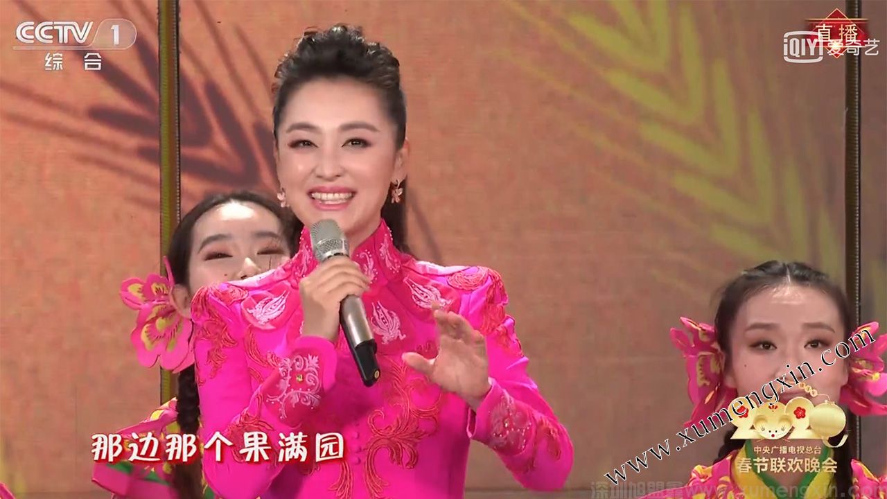 P1.953和P5.21摄录应用
